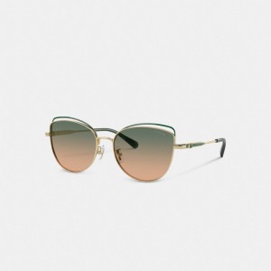 Coach Bandit Wire Oval Sunglasses Green Yellow Gradient | COH866349