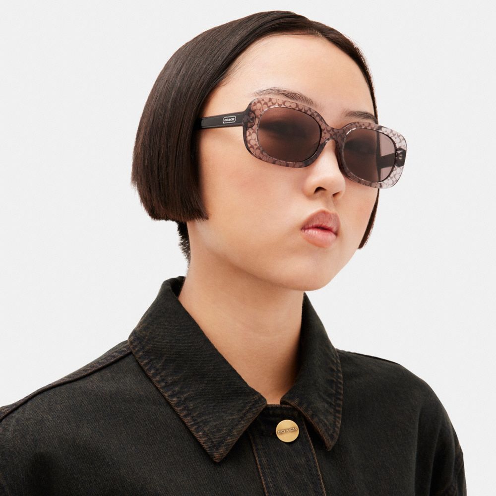 Coach Badge Rounded Square Sunglasses Transparent Grey Signature | COH866369