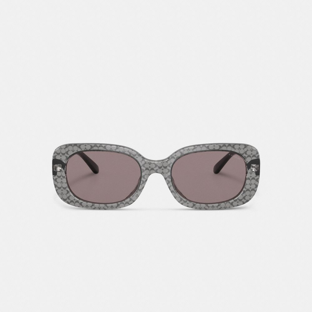 Coach Badge Rounded Square Sunglasses Transparent Grey Signature | COH866369