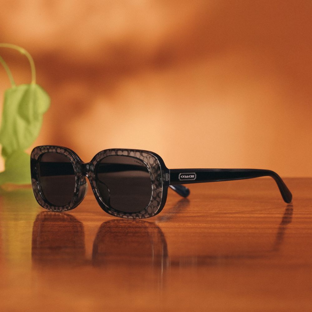 Coach Badge Rounded Square Sunglasses Transparent Grey Signature | COH866369