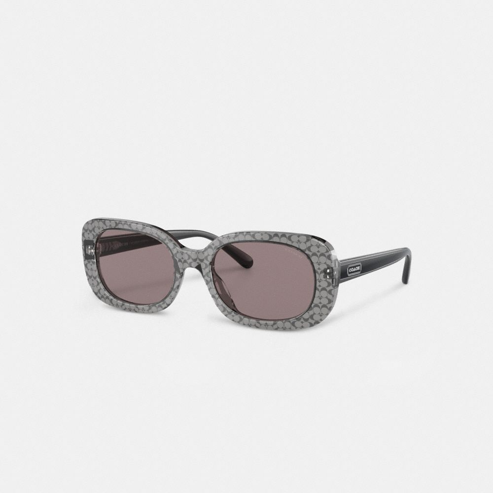 Coach Badge Rounded Square Sunglasses Transparent Grey Signature | COH866369