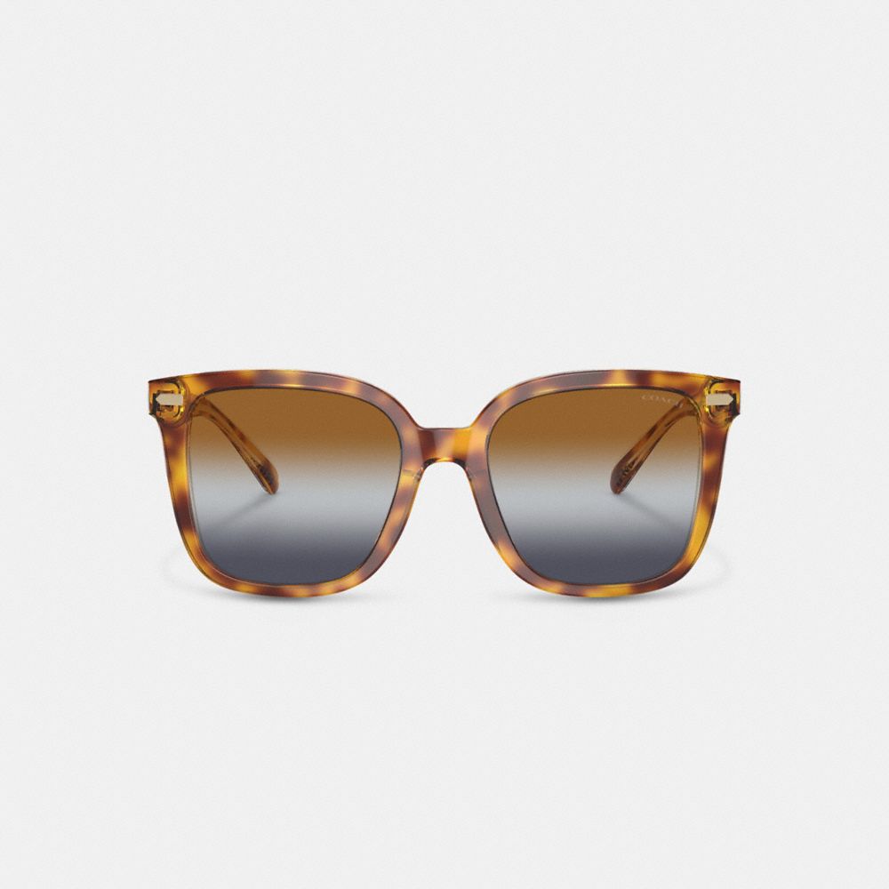 Coach Beveled Signature Oversized Square Sunglasses Brown Blue Grey Gradient | COH866364
