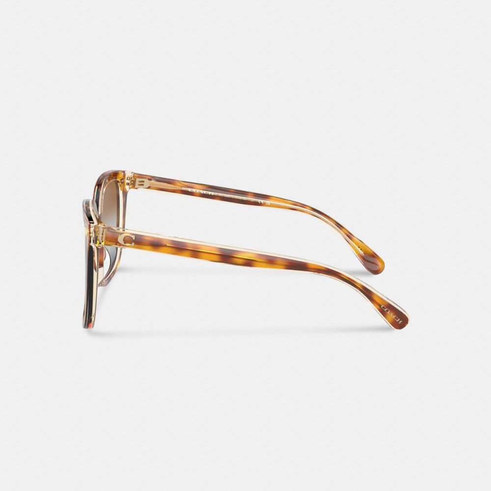 Coach Beveled Signature Oversized Square Sunglasses Brown Blue Grey Gradient | COH866364