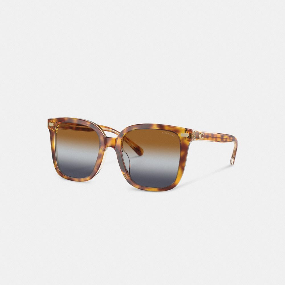 Coach Beveled Signature Oversized Square Sunglasses Brown Blue Grey Gradient | COH866364