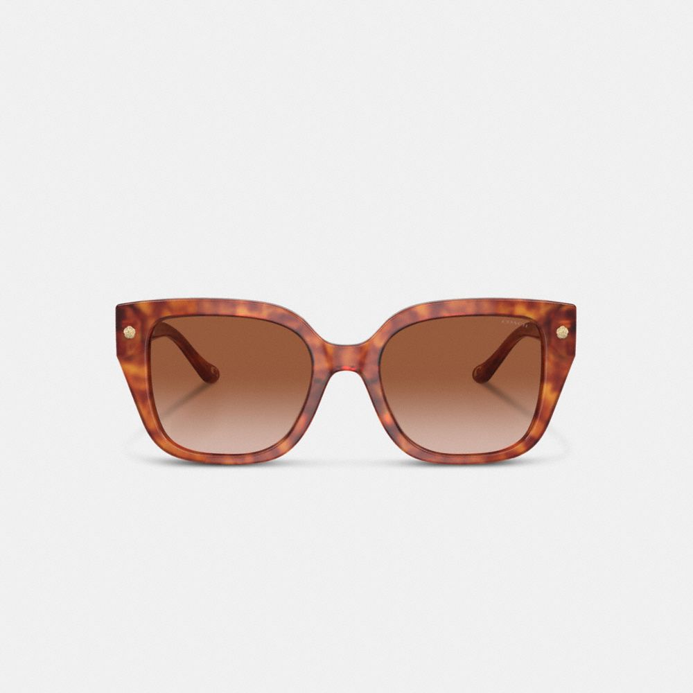 Coach Charms Oversized Square Sunglasses Caramel Tortoise | COH866328