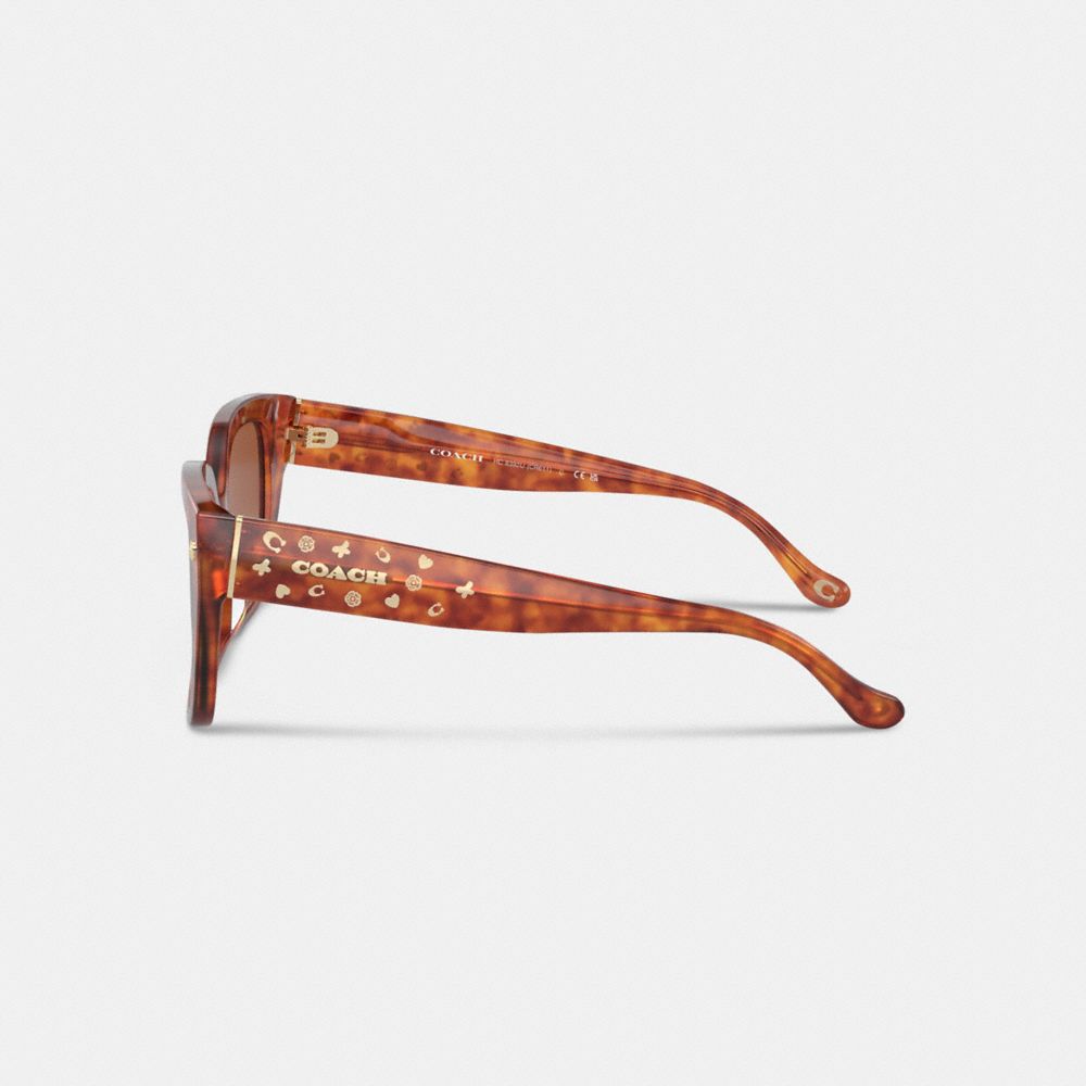 Coach Charms Oversized Square Sunglasses Caramel Tortoise | COH866328