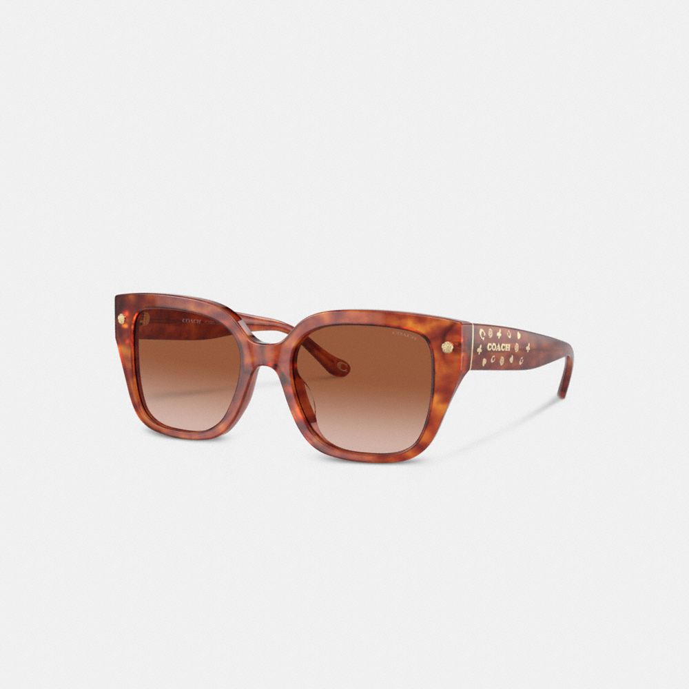Coach Charms Oversized Square Sunglasses Caramel Tortoise | COH866328