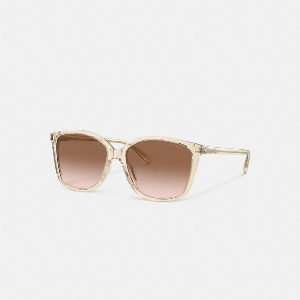 Coach Embedded Wire Square Sunglasses Brown Pink Gradient | COH866357