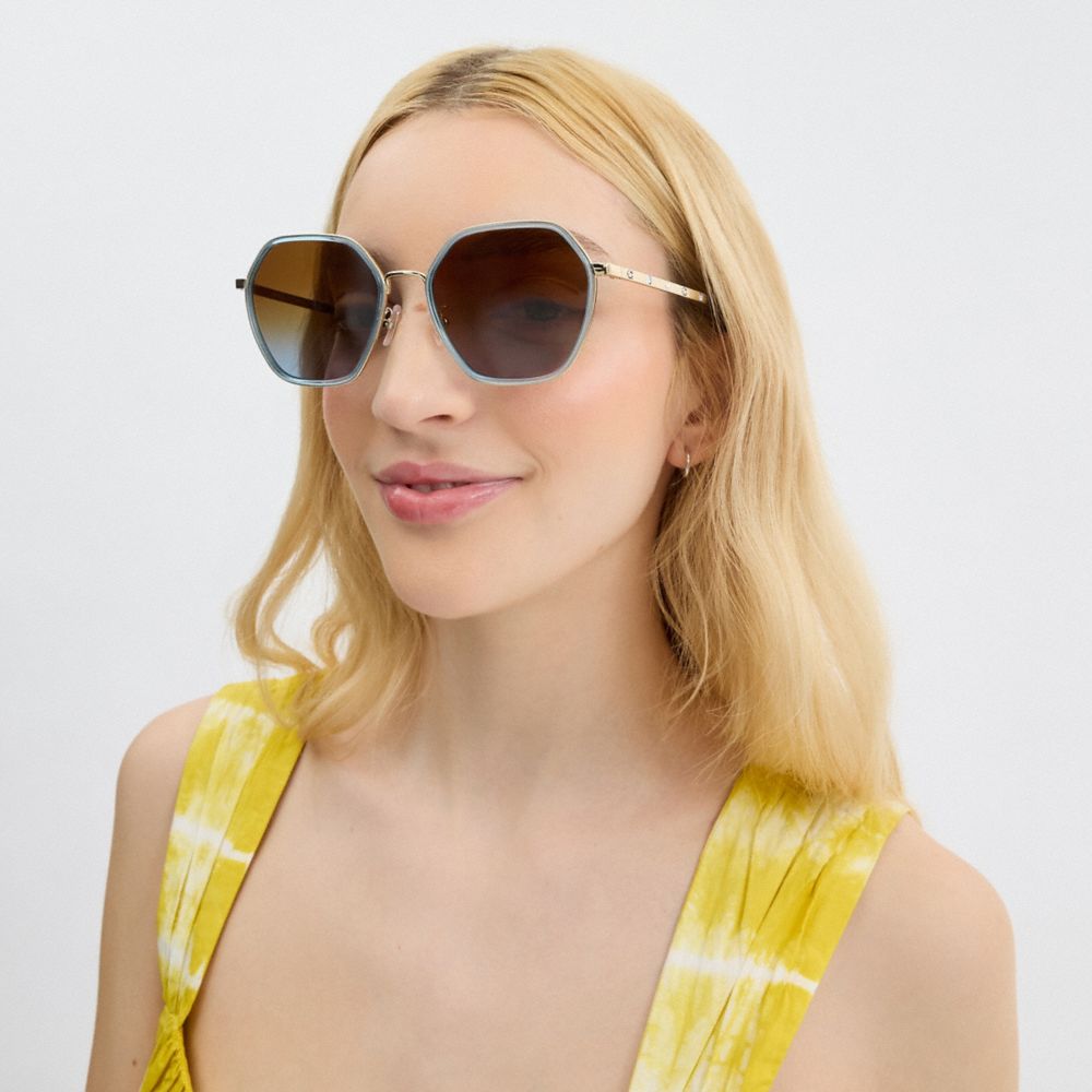 Coach Embellished Narrow Metal Hexagon Sunglasses Transparent Blue | COH866323