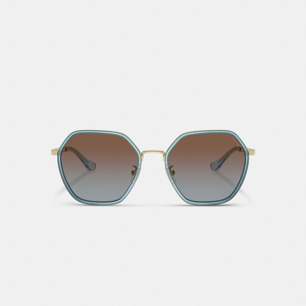 Coach Embellished Narrow Metal Hexagon Sunglasses Transparent Blue | COH866323