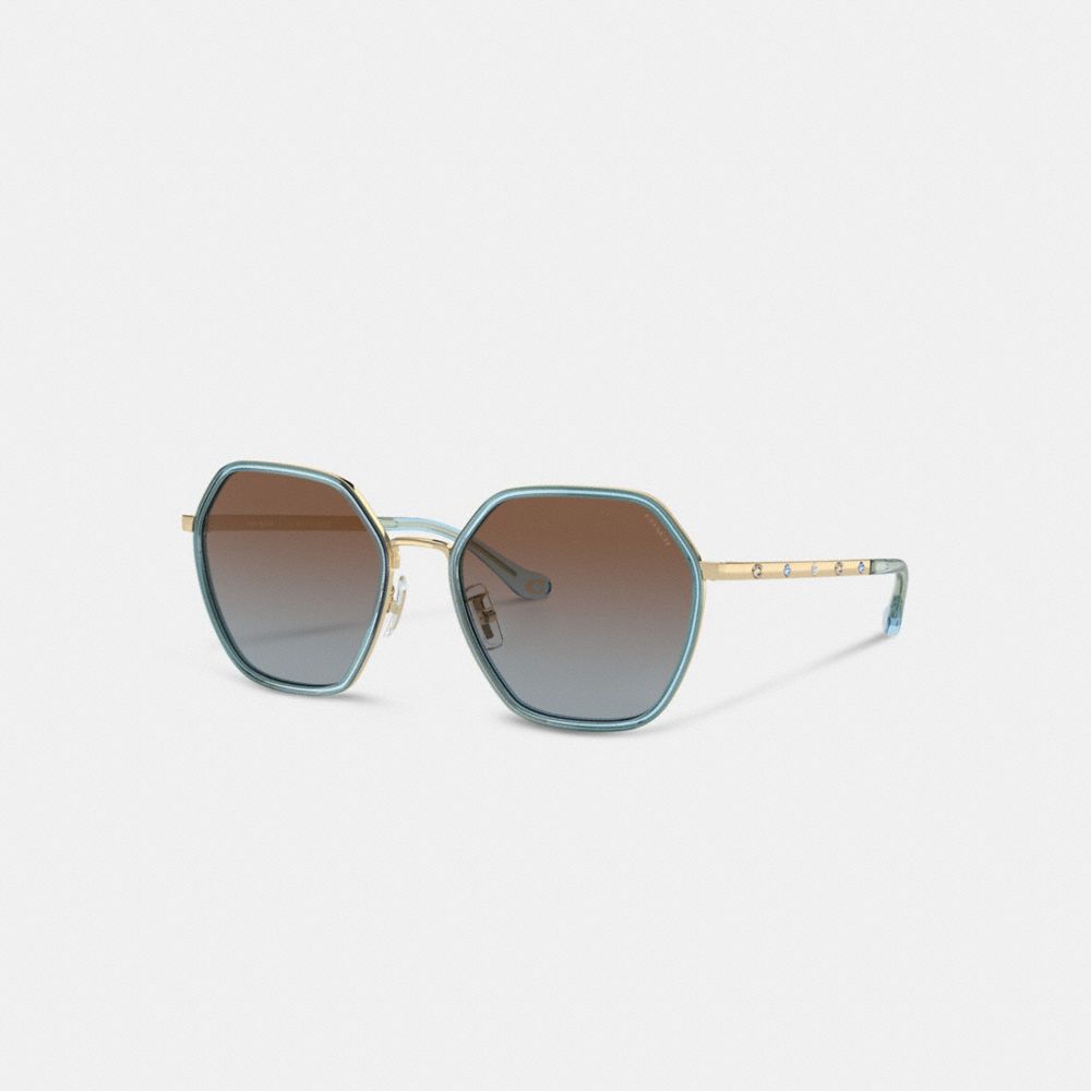 Coach Embellished Narrow Metal Hexagon Sunglasses Transparent Blue | COH866323