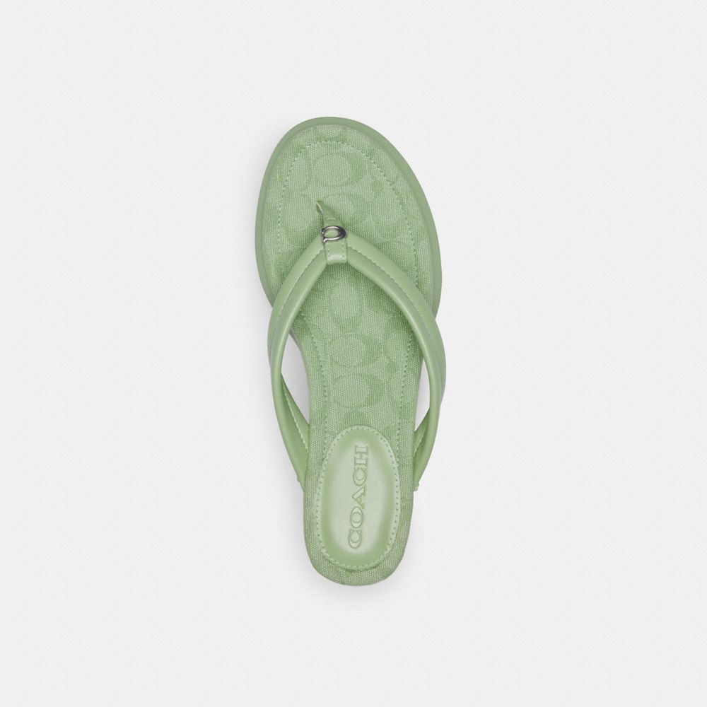 Coach Franki Flip Flop In Signature Jacquard Pale Pistachio | COH865848