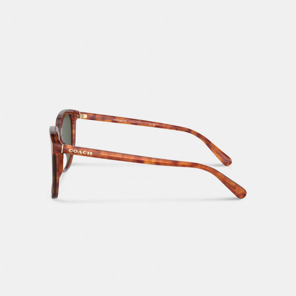 Coach Geometric Square Sunglasses Tortoise Green | COH866336