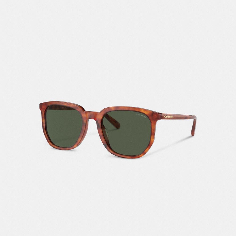 Coach Geometric Square Sunglasses Tortoise Green | COH866336