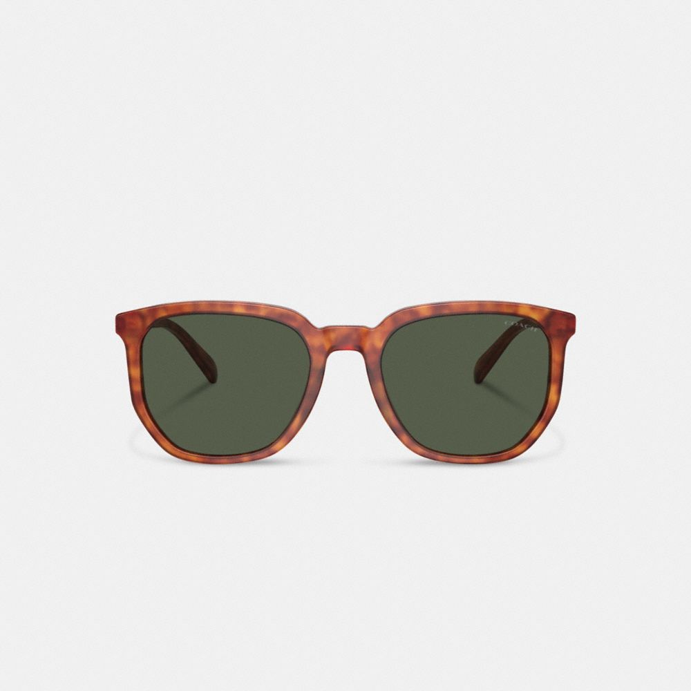 Coach Geometric Square Sunglasses Tortoise Green | COH867059
