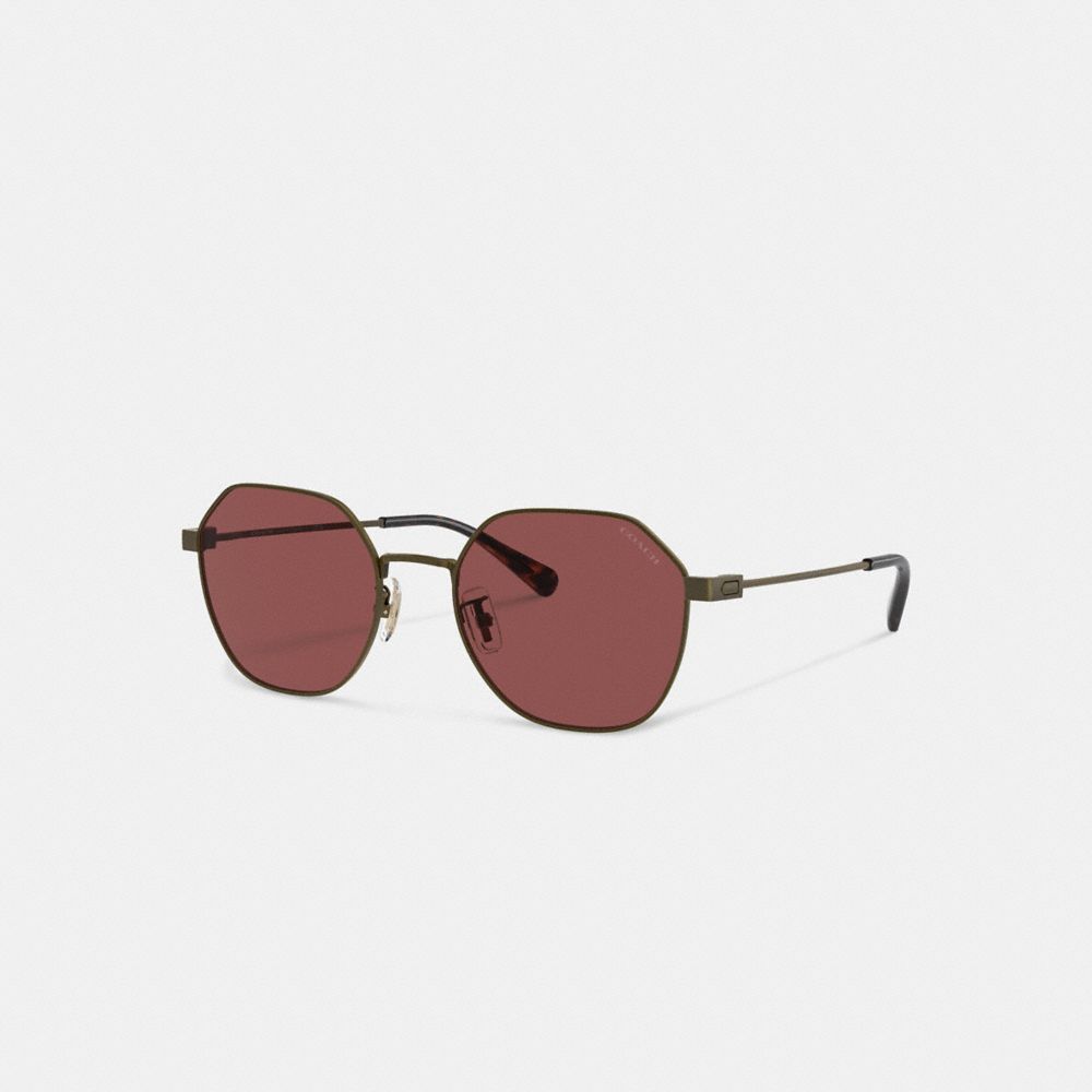 Coach Hinged Geometric Round Sunglasses Antique Gold/Wine | COH867066