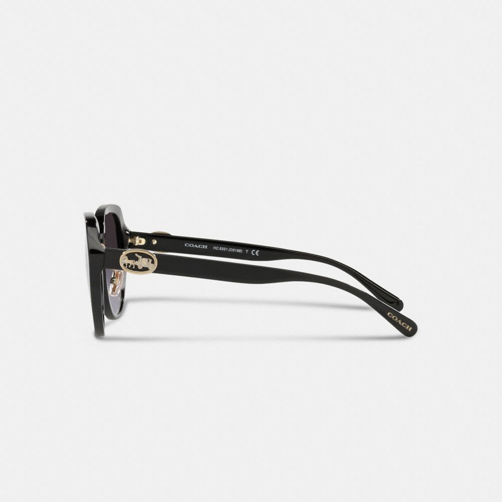 Coach Horse And Carriage Oversized Round Sunglasses Black | COH866344