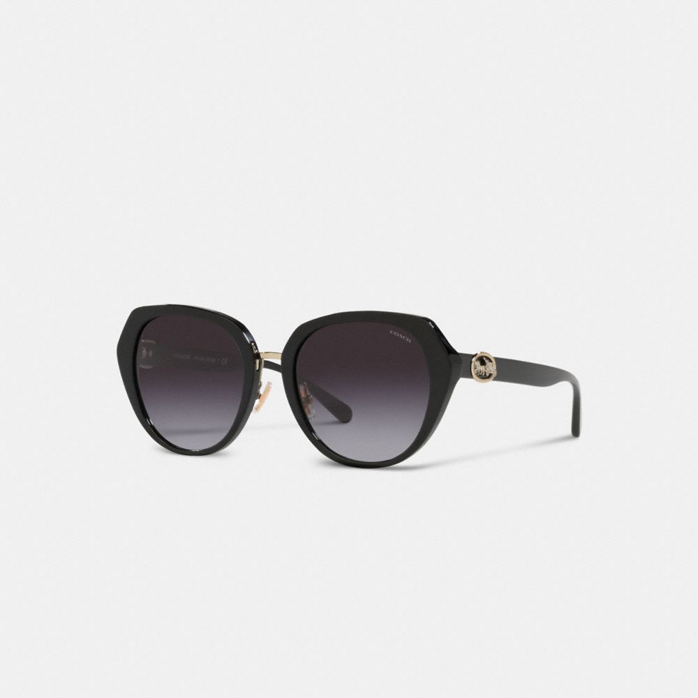 Coach Horse And Carriage Oversized Round Sunglasses Black | COH866344