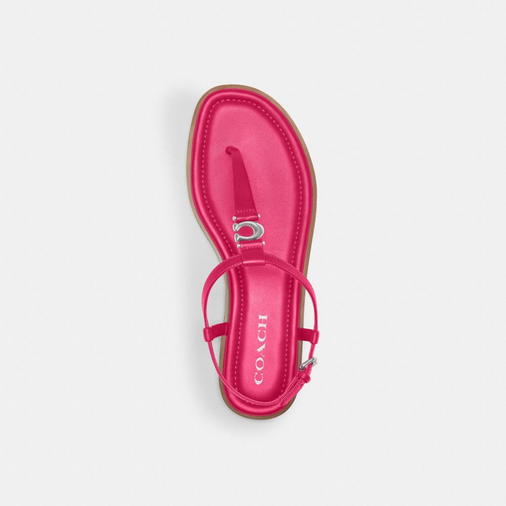 Coach Jessica Sandal Dragon Fruit | COH865849