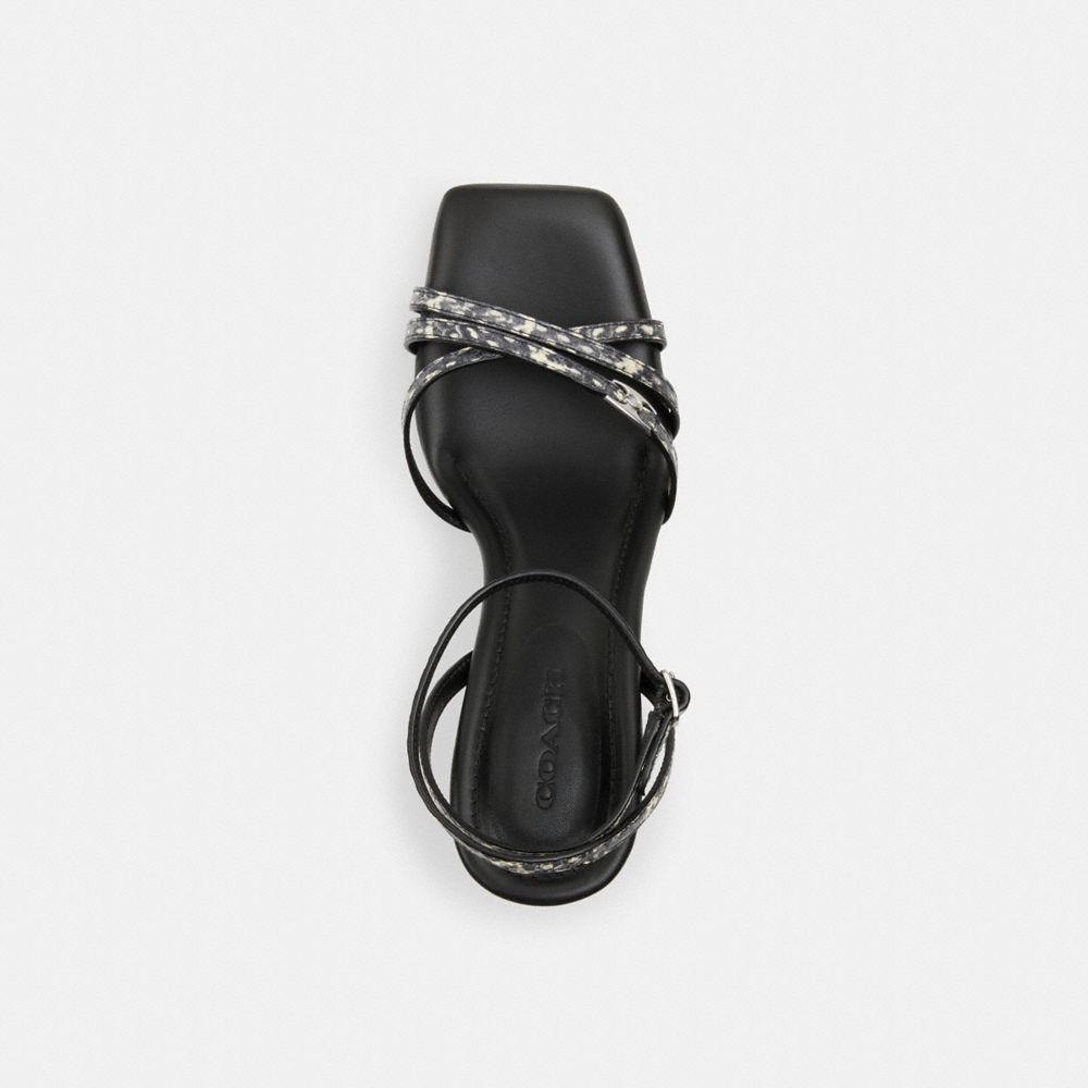 Coach Kelsey Sandal In Snakeskin Natural | COH865758