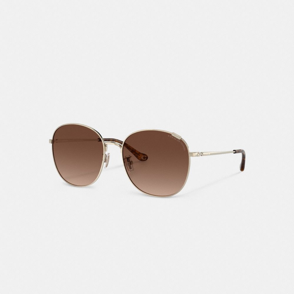 Coach Metal Round Sunglasses Transparent Brown | COH866365