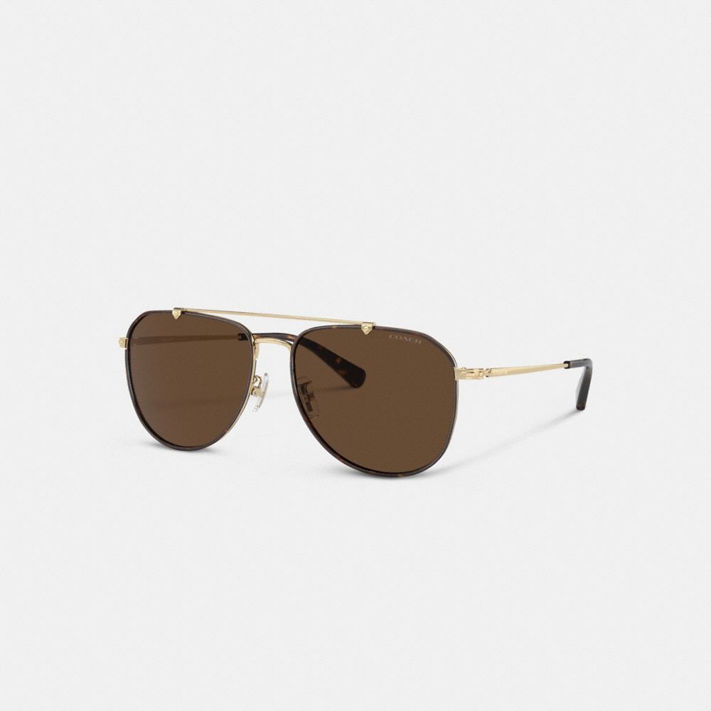 Coach Metal Windsor Pilot Sunglasses Dark Brown | COH867057
