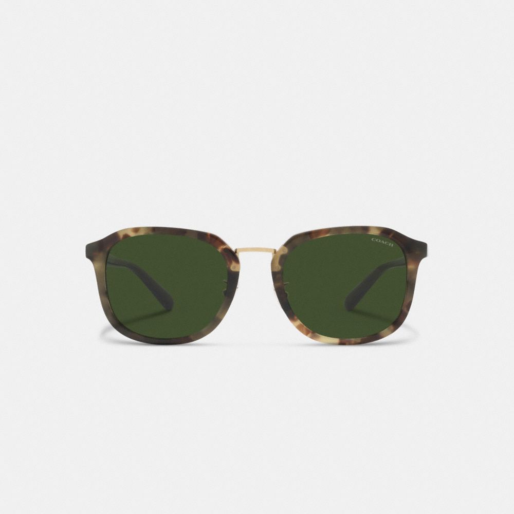 Coach Rounded Geometric Sunglasses Green Tortoise | COH866342
