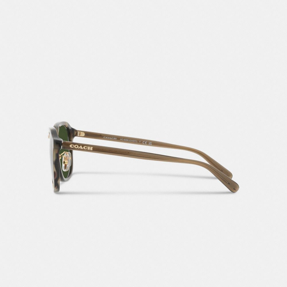 Coach Rounded Geometric Sunglasses Green Tortoise | COH866342
