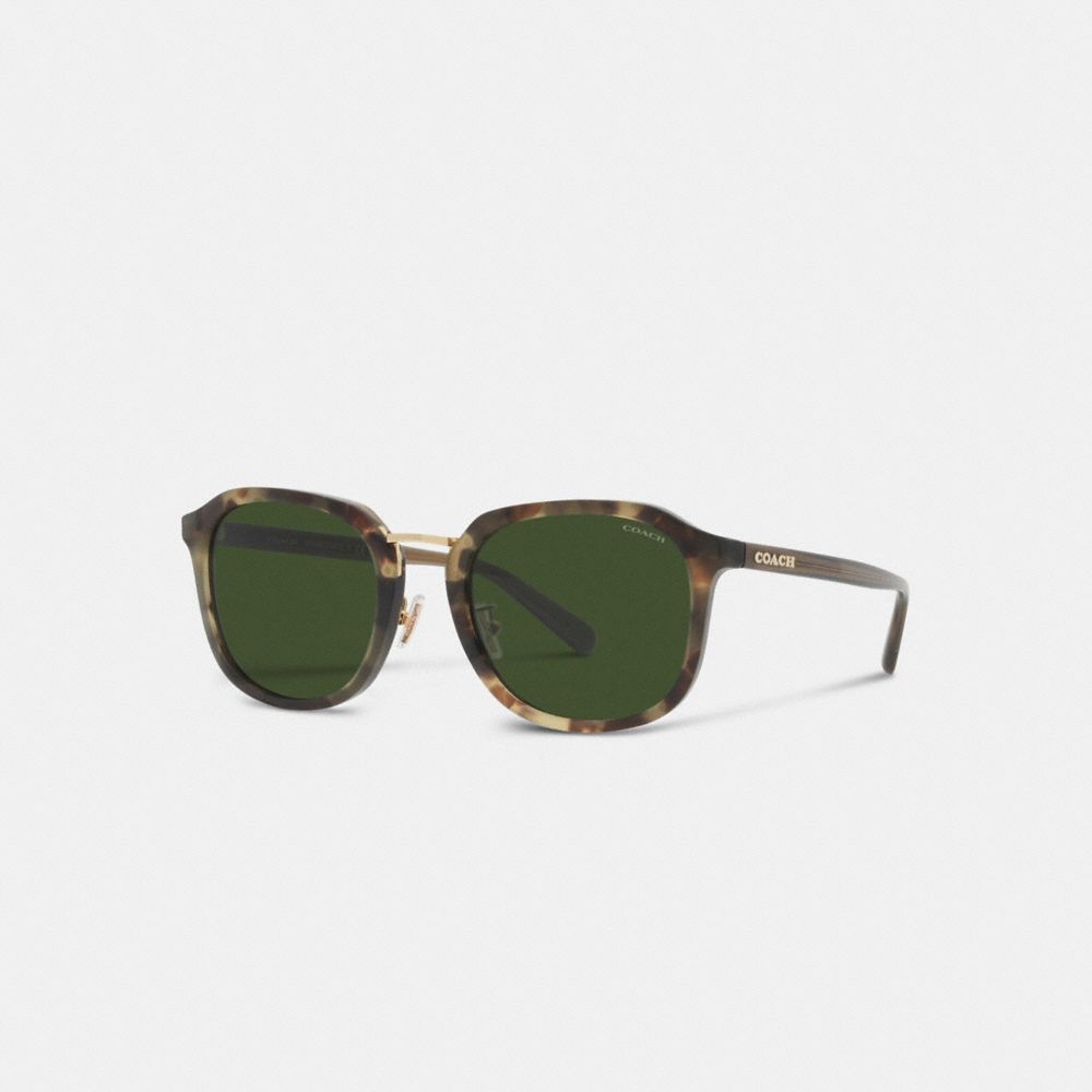 Coach Rounded Geometric Sunglasses Green Tortoise | COH866342