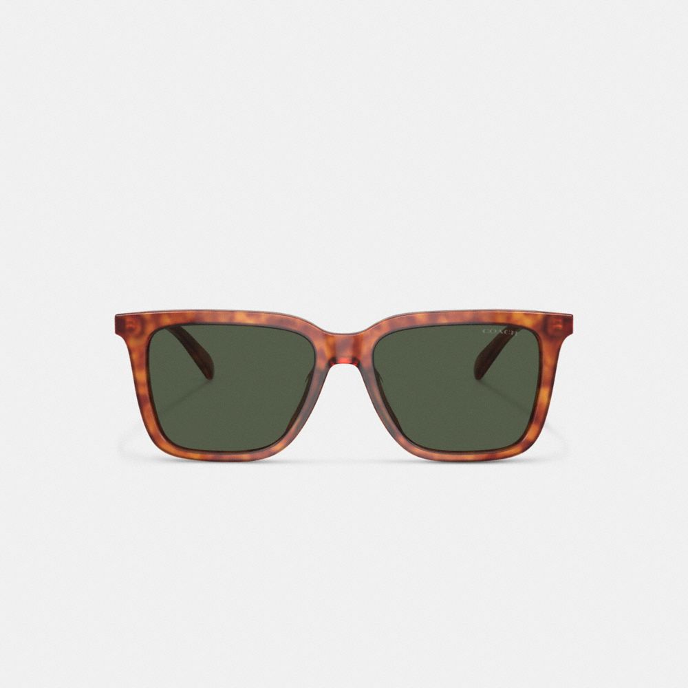 Coach Signature Square Sunglasses Tortoise Green | COH867056