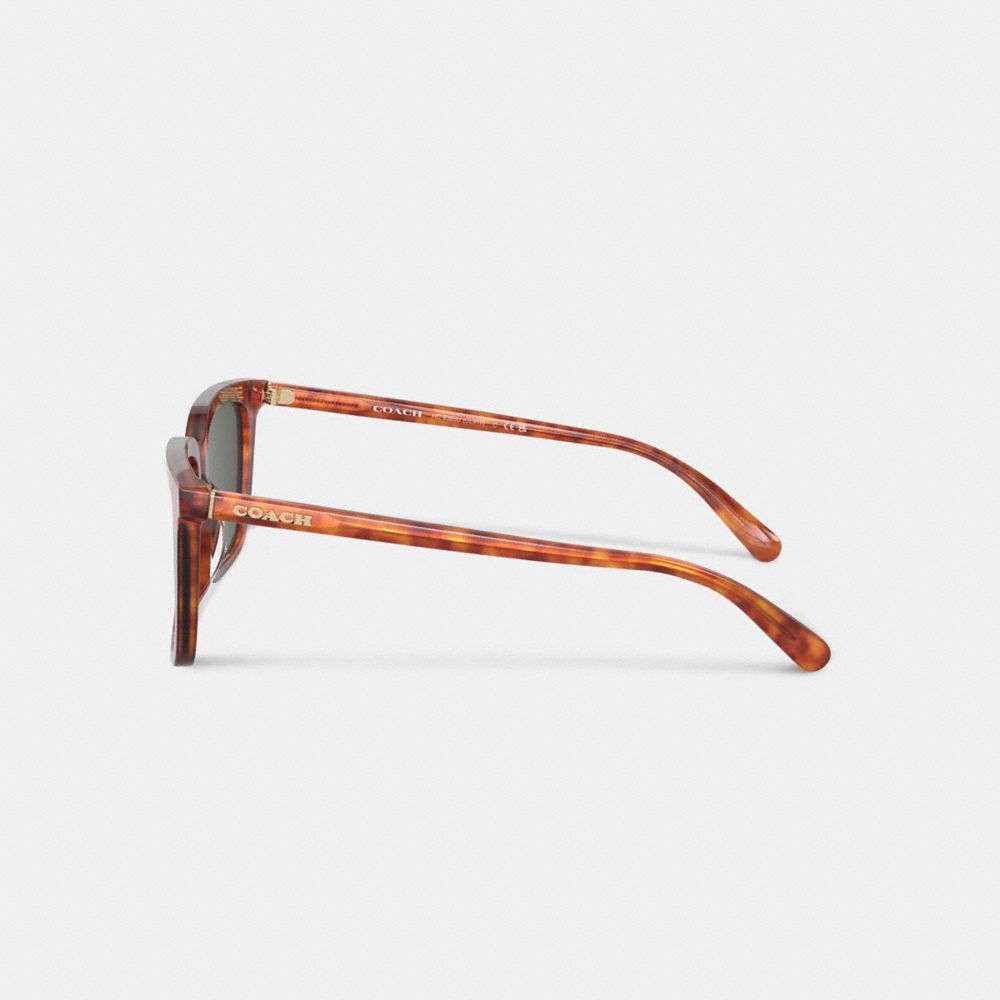 Coach Signature Square Sunglasses Tortoise Green | COH867056