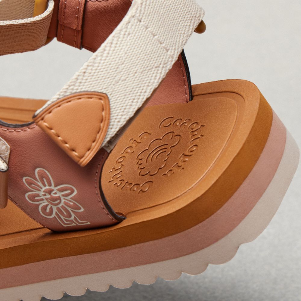 Coach Strappy Sandal Canyon/Cloud Multi | COH865858