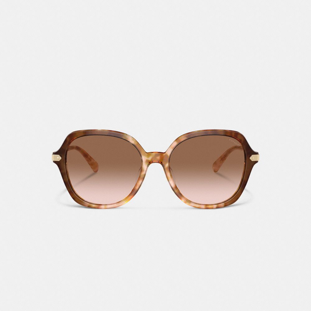 Coach Wrap Around Hangtag Oversized Geometric Round Sunglasses Honey Tortoise | COH866341