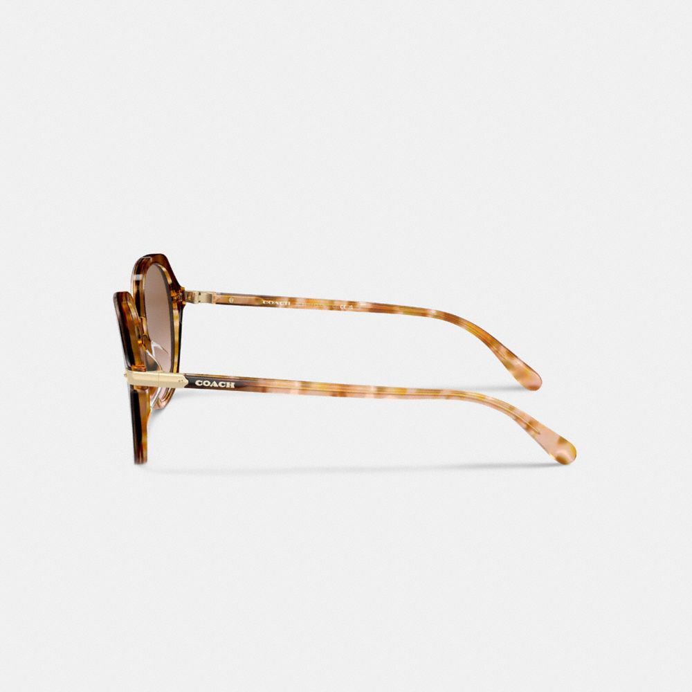 Coach Wrap Around Hangtag Oversized Geometric Round Sunglasses Honey Tortoise | COH866341