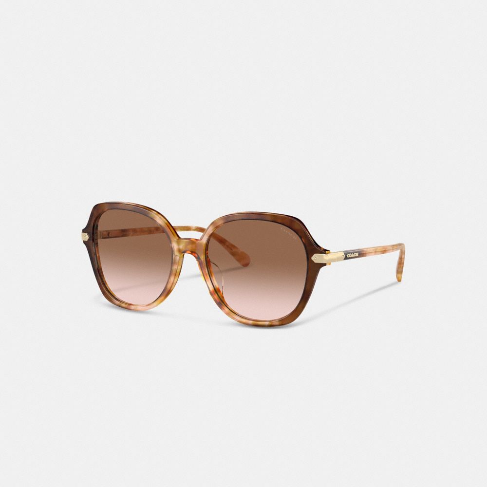 Coach Wrap Around Hangtag Oversized Geometric Round Sunglasses Honey Tortoise | COH866341